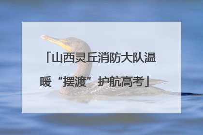 山西灵丘消防大队温暖“摆渡”护航高考