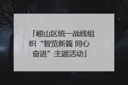 崂山区统一战线组织“智览新篇 同心奋进”主题活动