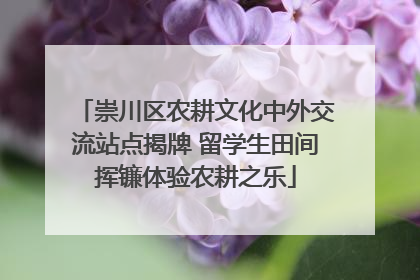 崇川区农耕文化中外交流站点揭牌 留学生田间挥镰体验农耕之乐