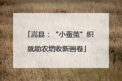 嵩县：“小蚕茧”织就助农增收新画卷