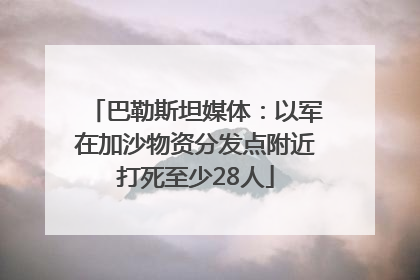 巴勒斯坦媒体：以军在加沙物资分发点附近打死至少28人