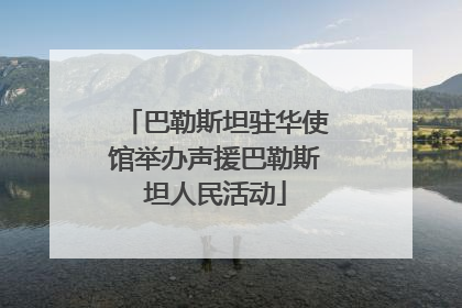 巴勒斯坦驻华使馆举办声援巴勒斯坦人民活动