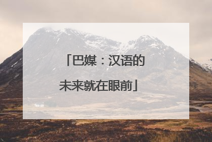 巴媒：汉语的未来就在眼前