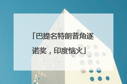 巴提名特朗普角逐诺奖，印度恼火