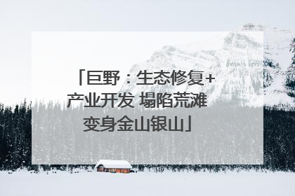 巨野：生态修复+产业开发 塌陷荒滩变身金山银山