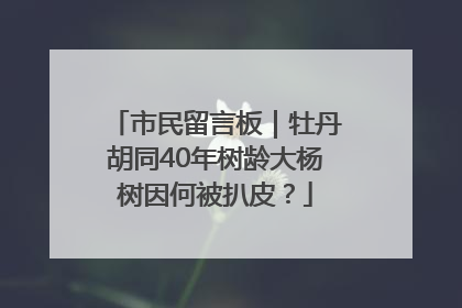 市民留言板｜牡丹胡同40年树龄大杨树因何被扒皮？