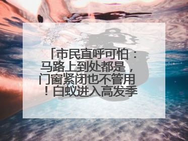 市民直呼可怕：马路上到处都是，门窗紧闭也不管用！白蚁进入高发季，但尚未达顶峰