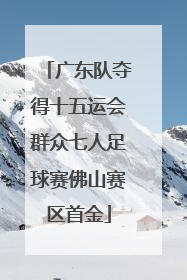 广东队夺得十五运会群众七人足球赛佛山赛区首金