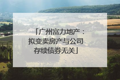 广州富力地产：拟变卖房产与公司存续债券无关