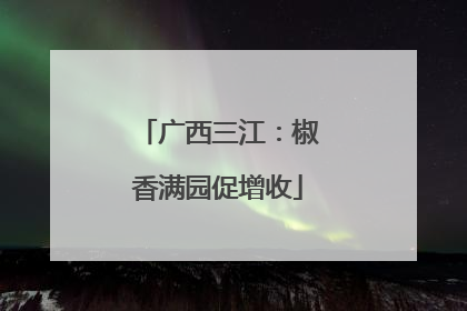 广西三江：椒香满园促增收