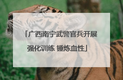 广西南宁武警官兵开展强化训练 锤炼血性