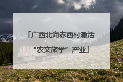广西北海赤西村激活“农文旅学”产业