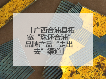 广西合浦县拓宽“珠还合浦”品牌产品“走出去”渠道