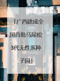 广西建成全国首批马尾松3代无性系种子园