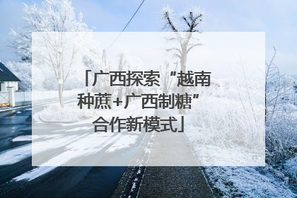 广西探索“越南种蔗+广西制糖”合作新模式