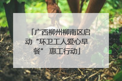 广西柳州柳南区启动“环卫工人爱心早餐” 惠工行动