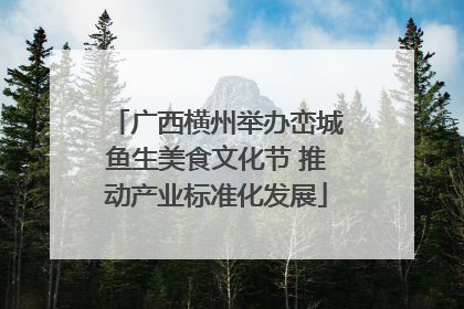 广西横州举办峦城鱼生美食文化节 推动产业标准化发展