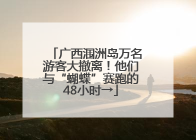 广西涠洲岛万名游客大撤离！他们与“蝴蝶”赛跑的48小时→