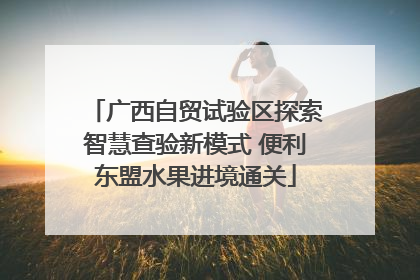 广西自贸试验区探索智慧查验新模式 便利东盟水果进境通关