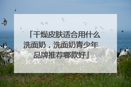 干燥皮肤适合用什么洗面奶，洗面奶青少年品牌推荐哪款好