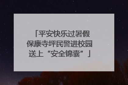 平安快乐过暑假 保康寺坪民警进校园送上“安全锦囊”