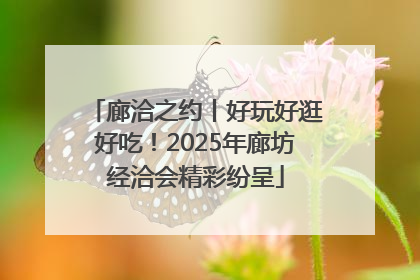 廊洽之约丨好玩好逛好吃！2025年廊坊经洽会精彩纷呈