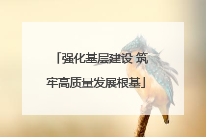 强化基层建设 筑牢高质量发展根基