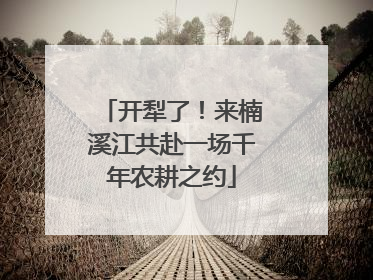 开犁了！来楠溪江共赴一场千年农耕之约