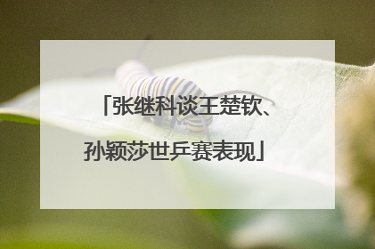 张继科谈王楚钦、孙颖莎世乒赛表现