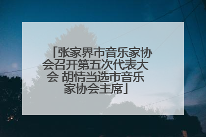 张家界市音乐家协会召开第五次代表大会 胡情当选市音乐家协会主席