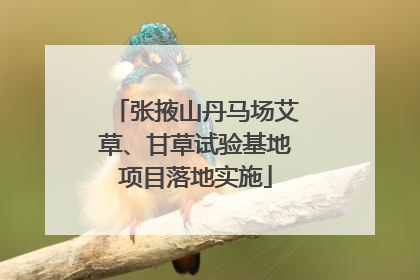 张掖山丹马场艾草、甘草试验基地项目落地实施