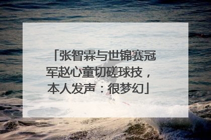张智霖与世锦赛冠军赵心童切磋球技，本人发声：很梦幻