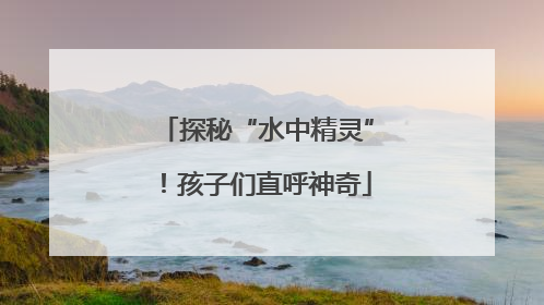 探秘“水中精灵”！孩子们直呼神奇