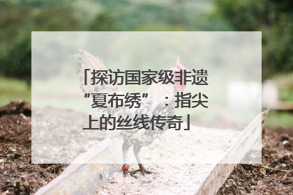 探访国家级非遗“夏布绣”：指尖上的丝线传奇