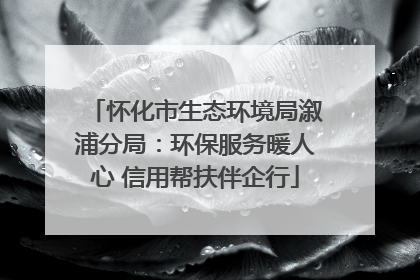 怀化市生态环境局溆浦分局：环保服务暖人心 信用帮扶伴企行