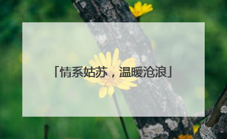 情系姑苏，温暖沧浪