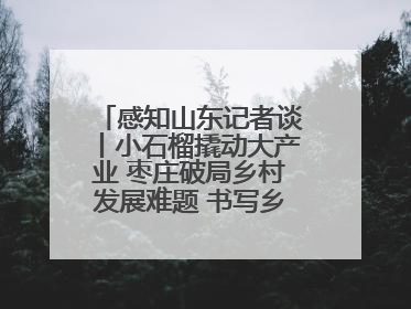 感知山东记者谈丨小石榴撬动大产业 枣庄破局乡村发展难题 书写乡村共富答卷