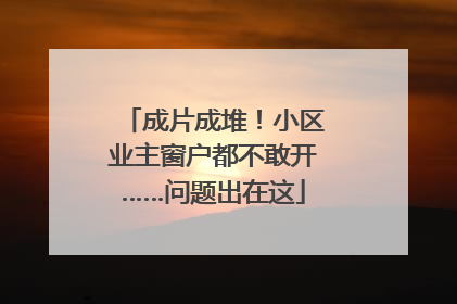 成片成堆！小区业主窗户都不敢开……问题出在这