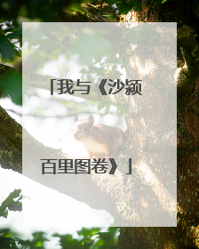 我与《沙颍百里图卷》