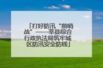 打好防汛“前哨战”——莘县综合行政执法局筑牢城区防汛安全防线
