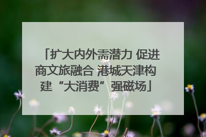扩大内外需潜力 促进商文旅融合 港城天津构建“大消费”强磁场