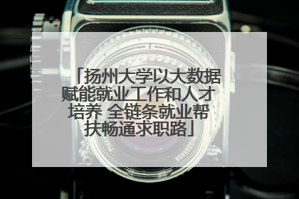 扬州大学以大数据赋能就业工作和人才培养 全链条就业帮扶畅通求职路
