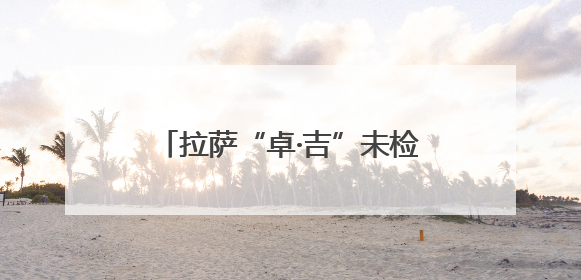 拉萨“卓·吉”未检品牌以法治为盾 温暖守护雪域青春成长路