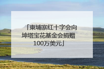 柬埔寨红十字会向坤塔宝花基金会捐赠100万美元
