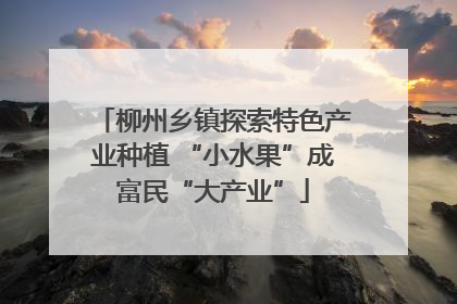 柳州乡镇探索特色产业种植 “小水果”成富民“大产业”
