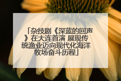 杂技剧《深蓝的回声》在大连首演 展现传统渔业迈向现代化海洋牧场奋斗历程