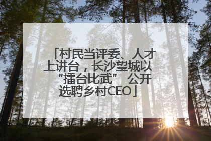 村民当评委、人才上讲台，长沙望城以“擂台比武” 公开选聘乡村CEO
