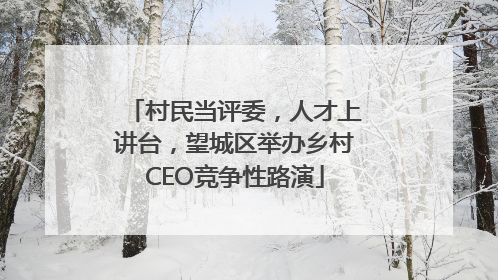 村民当评委，人才上讲台，望城区举办乡村CEO竞争性路演