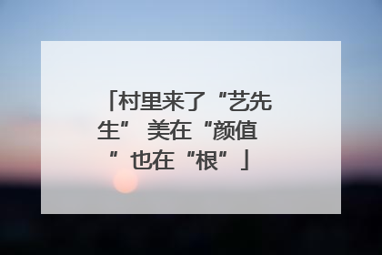 村里来了“艺先生” 美在“颜值”也在“根”