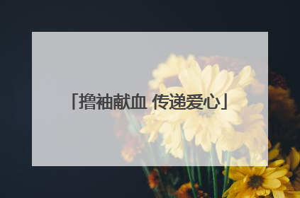撸袖献血 传递爱心